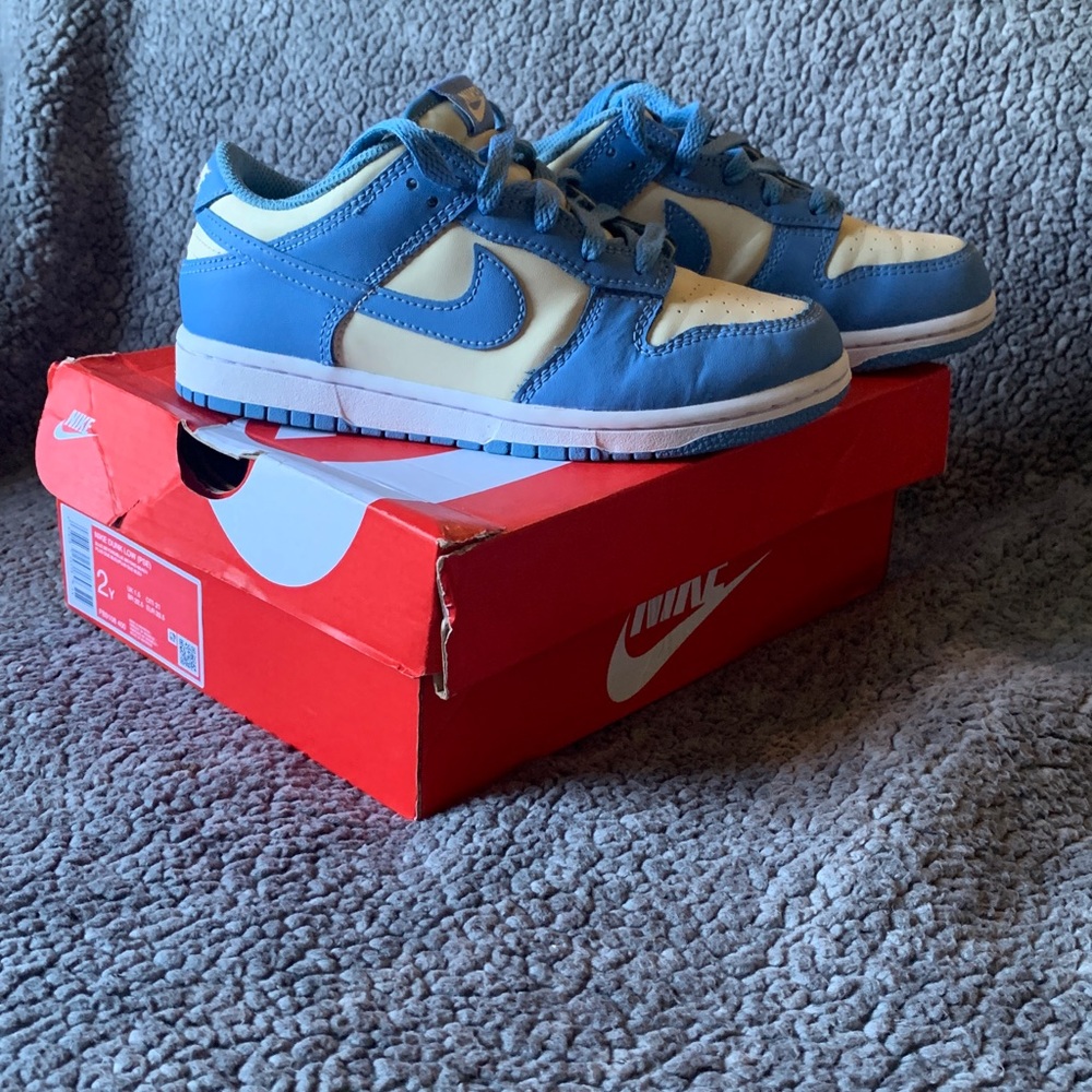 Nike Dunk Low Sneakers